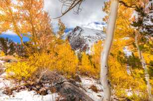 Mt. Olson and the Aspens-8857-2.jpg